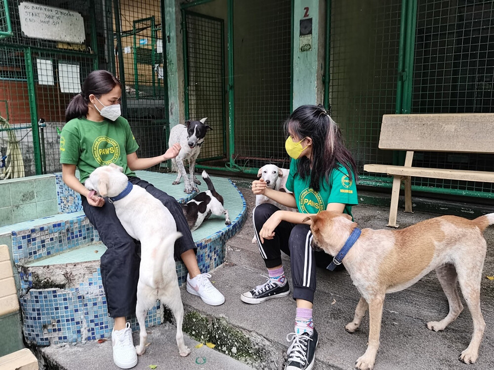The Philippine Animal Welfare Society • Source: PAWS