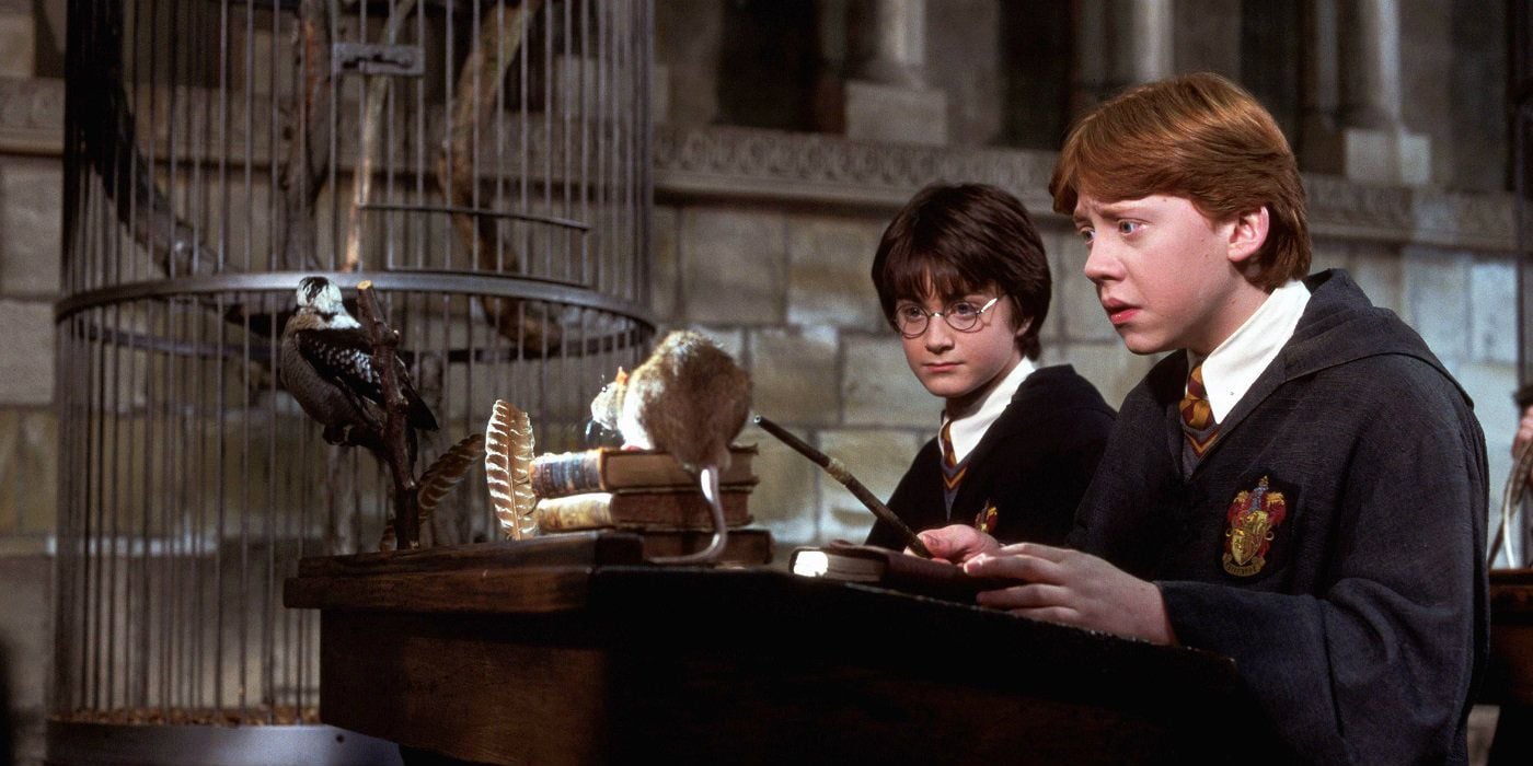 Harry Potter: 10 Hidden Details From Chamber Of Secrets