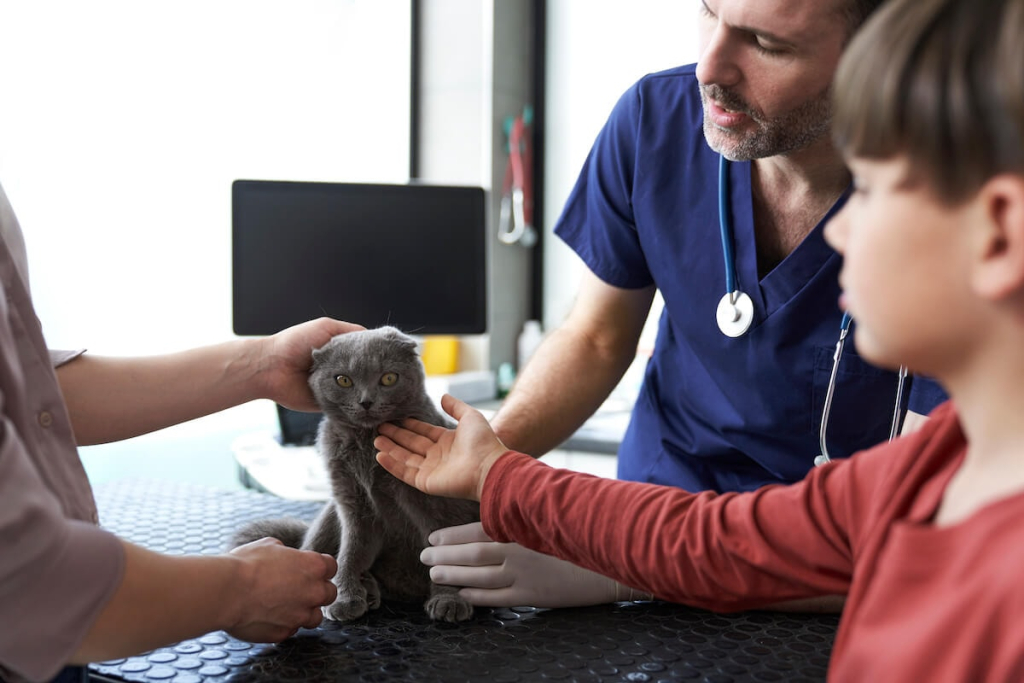 Why regular check ups are important for your pets
