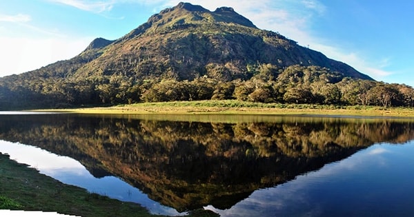 Image from Discover Mt. Apo (https://discovermtapo.com/)