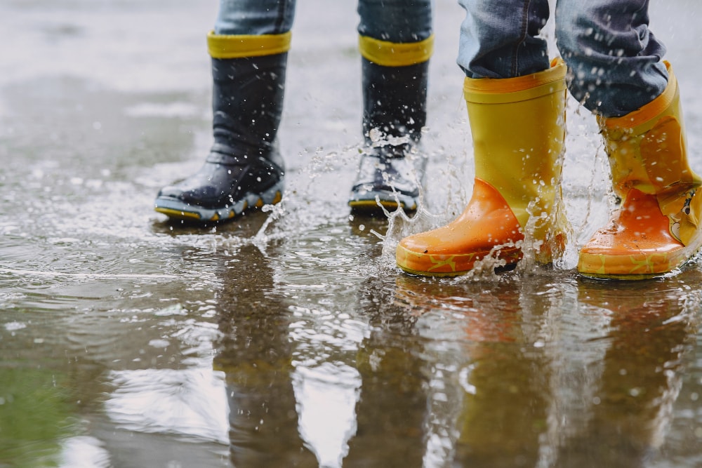 Water-borne Leptospirosis is one of the deadly rainy season diseases