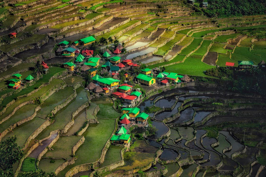 Visit the Philippines during rainy season l Image by Max Mishin on Unsplash