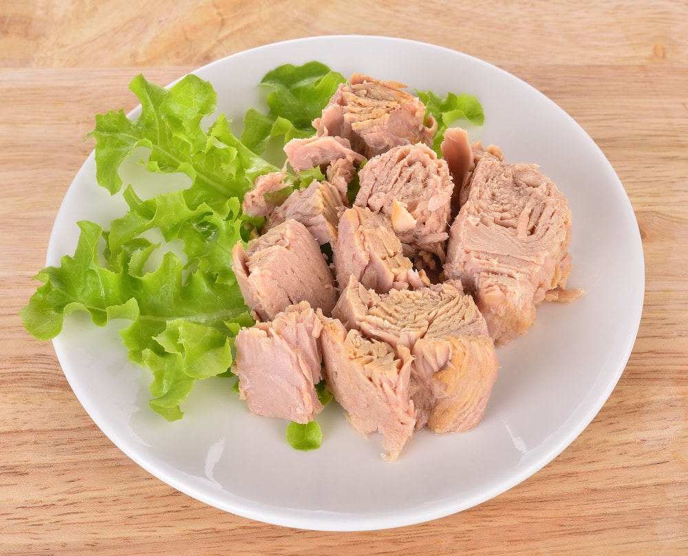 Easy and healthy tuna recipes to enjoy everyday