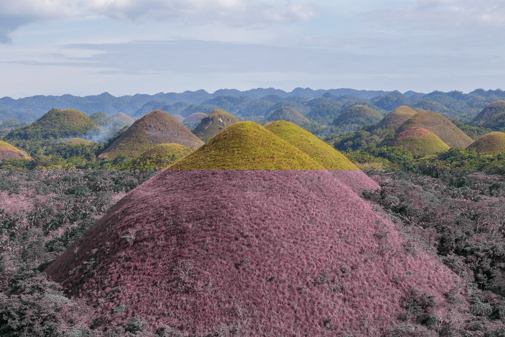Ecotourism projects in protected and conserved areas
