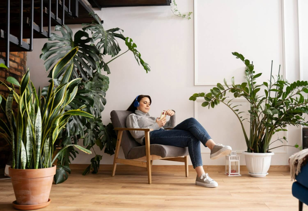 Discover the benefits of indoor plants to human health 
