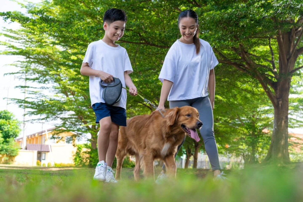 A guide how to prevent rabies at home and in the community