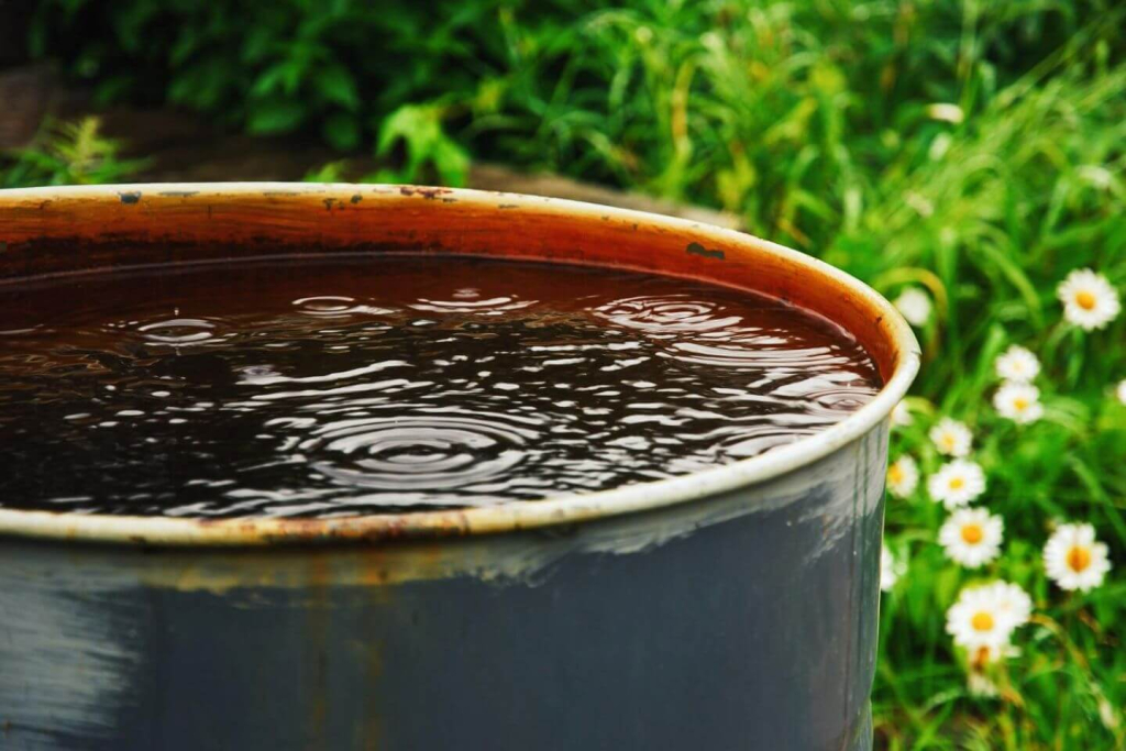 Keep water storage containers clean before they turn into mosquito breeding sites