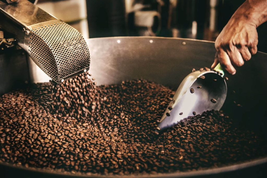 Coffee beans grown in different coffee plantations in the Philippines