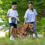 Rabies prevention tips: How to prevent rabies in pets