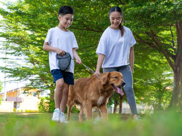 Rabies prevention tips: How to prevent rabies in pets